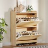 Shoe Cabinet Narrow Fluted with Air -Purifier Shoe Storage Cabinet with 2 Flip Drawer Adjustable or Removable Hidden Shoe Rack - 2 of 4