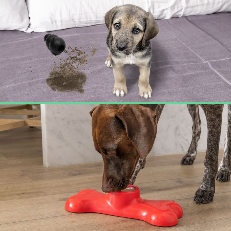 GoSports Pets PupsCream Parlor - Non-Slip Frozen Dog Treat & Ice Cream Holder - Mess-Free Lick Mat Alternative, Includes 6 Reusable Cups & Lids, 4 of 8