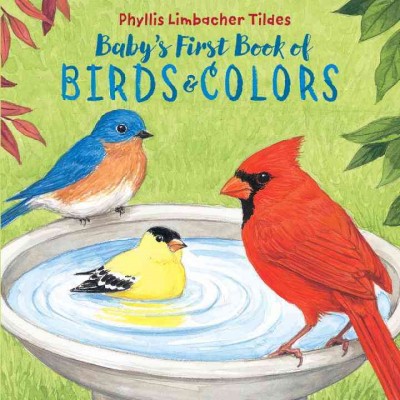 Baby's First Book of Birds & Colors - by  Phyllis Limbacher Tildes (Board Book)