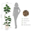 Artificial Rubber Tree, 5ft Tall Fake Plants with White Planters, Artificial Plants Indoor with Multicolored Pebbles - 4 of 4