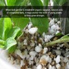 PVP Industries Organic Coarse Perlite Planting Soil Additive for Helping Promote Plant Growth and Draining Water, 4 Cubic Feet, White - 4 of 4