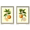 FONTOI 2pcs Fruit Canvas Wall Art, Botanical Wall Decor Living Room, Dining Room Decor Framed Wall Art for Hallway, Orange 18"* 24"*1.2" - 3 of 4