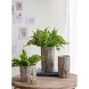 Okak Cement Planters Pot Set of 4/2, Plant Pots with Botanical Motifs, Flower Pots for Indoor Outdoor Plants - 2 of 4