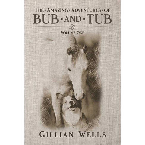 The Adventures Of Bub Tub By Gillian Wells Paperback Target
