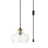 Elegant Lighting Destry 1 Light brass plug-in Pendant With Clear Glass - 3 of 4