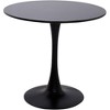 ACEPANO 31.5 in. W Modern Round MDF Coffee Table with Metal Base for Dining Room-Black - 4 of 4