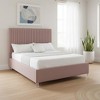 HomeRoots Blush Tufted Velvet Upholstered Queen Bed Frame - 2 of 4