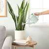 Farmlyn Creek Small Mint Green Plastic Watering Can with Long Spout Sprinkler Head for Garden, Indoor and Outdoor Plants, Flowers, 0.4 Gallon - 3 of 4