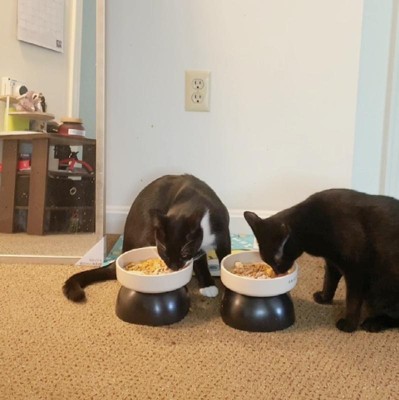 Target cat clearance bowls