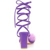Allegra K Women's Faux Fur Slingback Block Heels Lace Up Sandals - 3 of 4