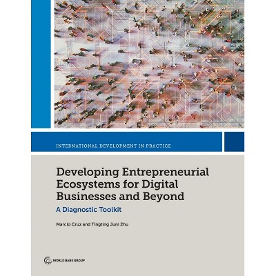 Developing Entrepreneurial Ecosystems for Digital Businesses and Beyond - (International Development in Practice) (Paperback)