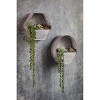 Slickblue Stylish Metal Wall Planters with Zinc Finish – 2 Unique Shapes - 3 of 3