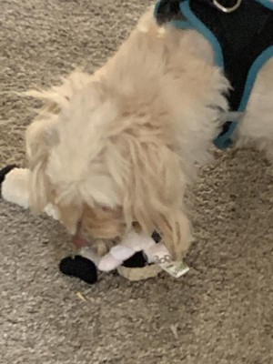 Guest review image 3 of 3, zoom in