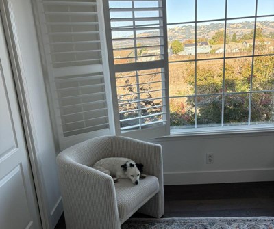 Guest review image 1 of 1, zoom in