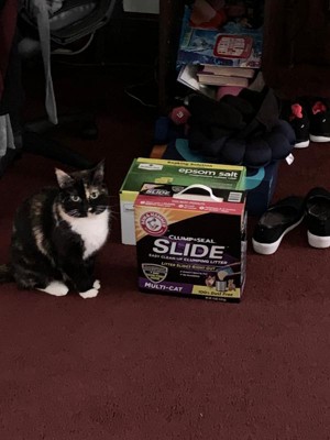 target slide cat litter