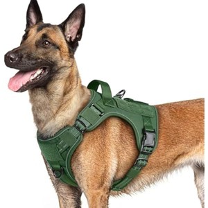 rabbitgoo Dog Harness for Large Dogs No Pull, l Handle, for Easy Walking and Training, Green, L - 1 of 1