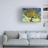 Trademark Fine Art -Vincent van Gogh 'The Mulberry Tree' Canvas Art - 2 of 4