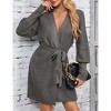 BLUEMING Women Fall Winter Dress 2025 V Neck Long Sleeve Ribbed Knit Belted A Line Mini Knit Dress - 3 of 4