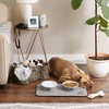 Bone Dry Large Gray Stripe Embroidered Paw Pet Mat - 3 of 4