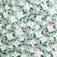 green floral