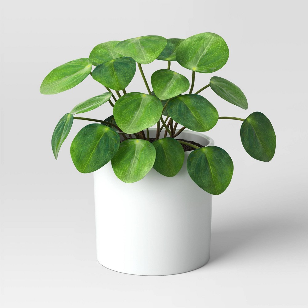 Artificial Coin Shape Pilea Plant - Threshold