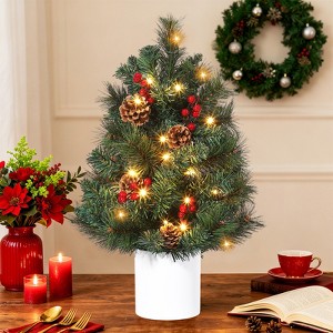Coucheta 2ft Pre-Lit Mini Christmas Tree with 30 Warm White Lights, Red Berries & Pine Cones, Tabletop Decor for Small Spaces, No Assembly Required - 1 of 4