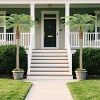 2 Pack Artificial Palm Trees, Realistic Fake Tropical Plants for Indoor & Outdoor, UV Resistant, Easy Assembly with Weighted Base - 4 of 4