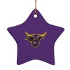 Mankato Primary Logo StarShaped Porcelain Holiday Christmas Tree Ornament  3.1" - 2 of 4