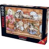 Anatolian Kittens 1000 pc   Jigsaw Puzzle 3158 - 3 of 4