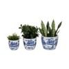 Sagebrook Home 3pc Chinoiserie Planters Ceramic: Hand-Painted, Rust-Resistant, No Drainage Hole(s) - 2 of 4