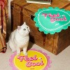 ZEZE Retro Bottle Cap Cooling Pet Mat - 4 of 4