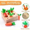 7 PCS Wooden Carrots Montessori Sorting Toys Educational Carrot Harvest Toy for Toddlers, Shape Sorting Matching Puzzle Birthday Gifts for Toddlers - 2 of 4