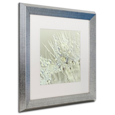 Trademark Fine Art -Cora Niele 'Dandelion Dew III' Matted Framed Art