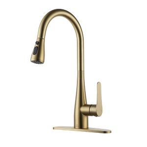 CASAINC Single Handle Pull Out Sprayer Kitchen Faucet with Deckplate Included - 1 of 1