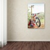 Trademark Fine Art -The Macneil Studio 'Mountain Bike' Canvas Art - 3 of 3