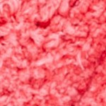 fuchsia/pink
