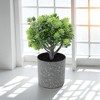 Unique Bargains Artificial Plants Plastic Flower Pot Plastic 3.15"x3.15"x7.87" 1 Pcs - 2 of 4