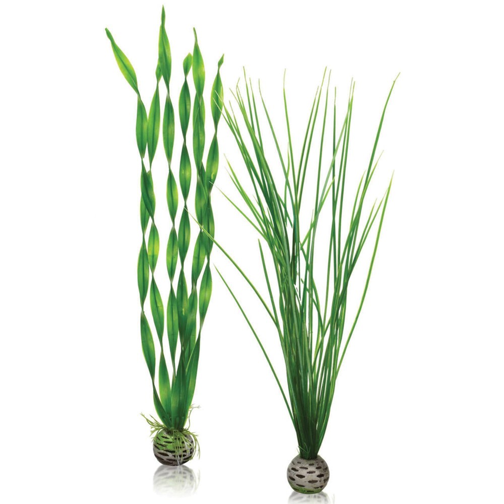 Photos - Aquarium Decoration BiOrb Easy Plant Set Aquarium Artificial Plants - Green - L 