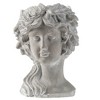 NAYSAYE Planter Cement Bust Wall Planter Floral Wreath Detail for Indoor Outdoor Garden, Gray, 7.9"*8.9"*11.6" - 3 of 4