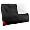 Kids' Dungeons & Dragons Dragons In Dragons Silky Touch Blanket White 36X58 - 3 of 4