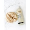 Plantlife Patchouli Body Wash – GMO & Gluten-Free, Gentle & Moisturizing, Natural Ingredients, Made in the USA, 14 oz - 3 of 4