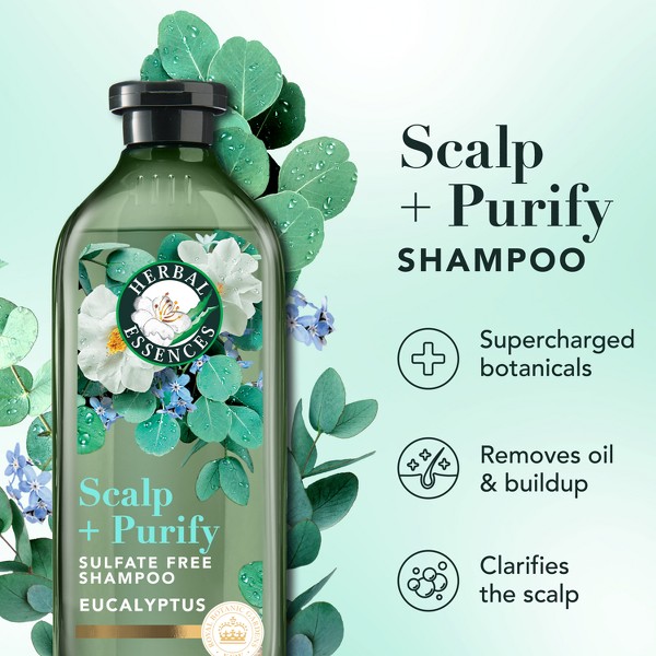 Champú de Eucalipto Herbal Essences Sin Sulfatos, Para Cuero Cabelludo Seco - 13.5 fl oz: Todo Tipo de Cabello, Contiene Aloe, Sin Colorantes, Sin Parabenos 2