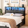 Aheaplus Storage Headboard with Power Outlets & Led Lights, Height Adjustable, Reversible Headboard - 2 of 4