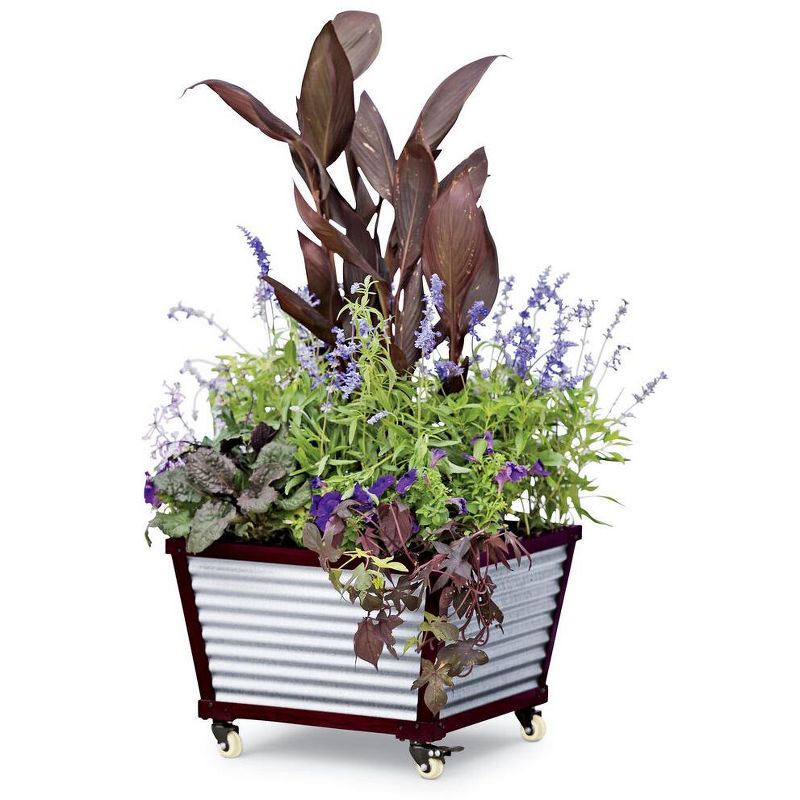 Gardener's Supply Company Galvanized Self-Watering Square Planter | Steel Outdoor Plant Container Holds 30 Quarts of Soil Water Reservoir Holds 2, 2 of 5