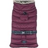 Alpine Extreme Weather Cold Puffer Coat - Burgundy - 2 of 3