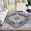 8x10 Ft Machine Washable Area Rug,Non Slip Non-Shedding Vintage Rug - 2 of 4