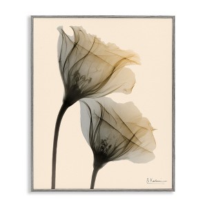 Stupell Industries Neutral Light Flower Photograph Framed Giclee Art, Gray, 16" x 20" - 1 of 4