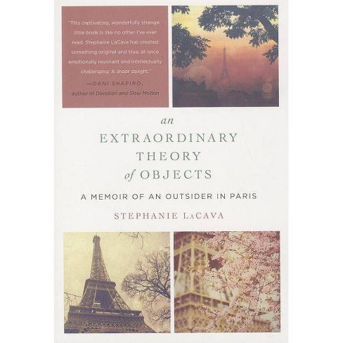 An Extraordinary Theory of Objects by Stephanie LaCava