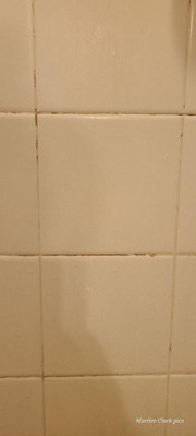 Guest review image 1 of 1, zoom in