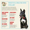 Country Brook Petz Deluxe Electric Leopard Dog Collar - Made in the U.S.A. (1/2 Inch, Extra Small) - 2 of 4